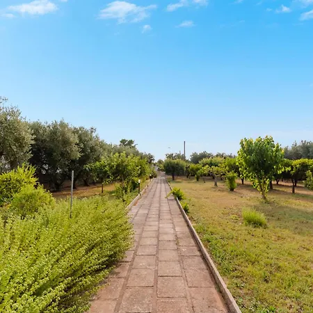 Domus Olea By Just Srl *