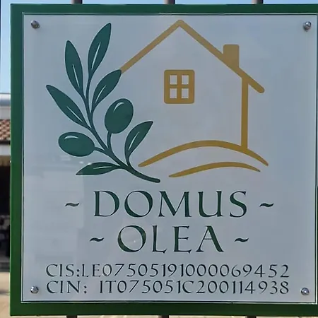 Domus Olea By Just Srl בית נופש *