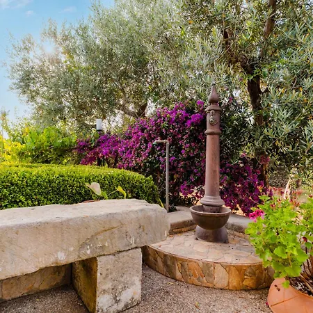 בית נופש Domus Olea By Just Srl